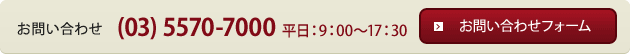 お問い合せ (03) 5570-7000 平日 9:00～17:30